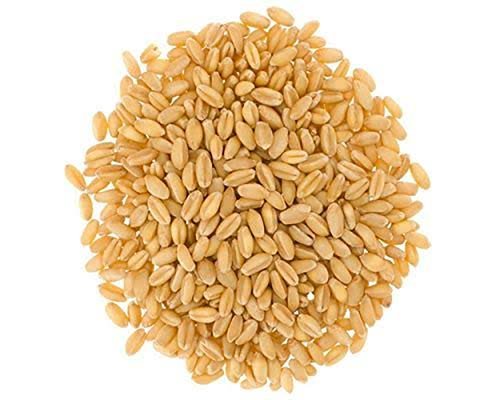 Wheat - Whole